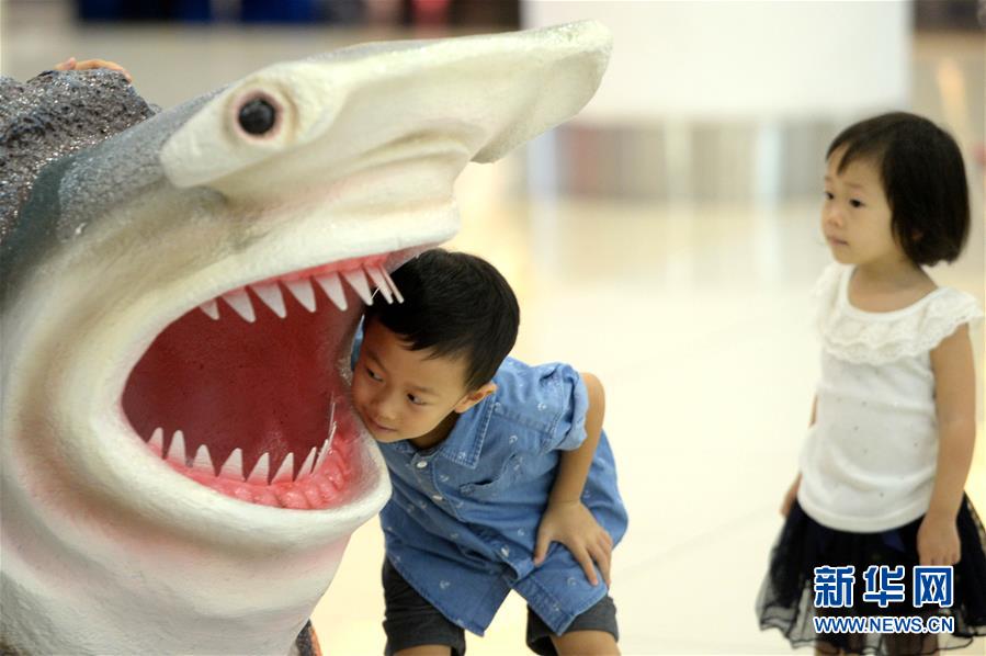 （国际）（1）马来西亚沙巴州举行“鲨不能无翅”活动
