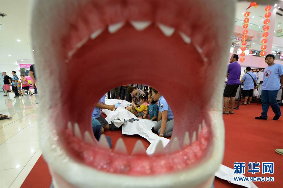 （国际）（3）马来西亚沙巴州举行“鲨不能无翅”活动