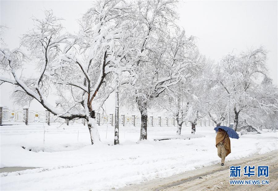 阿富汗大雪天气