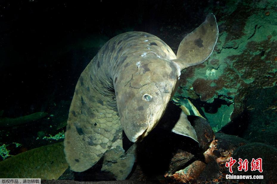 �������������