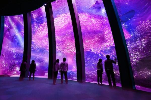 园推出春季活动 游客可欣赏海中樱花及粉色光影秀