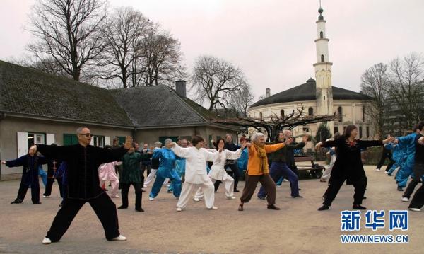 比利时成立永年杨氏太极拳协会