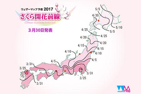 日本人赏樱季要多拼有多拼通宵排队占座不在话下