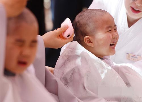 韩国曹溪寺举行童子僧剃度仪式 小和尚手摸光