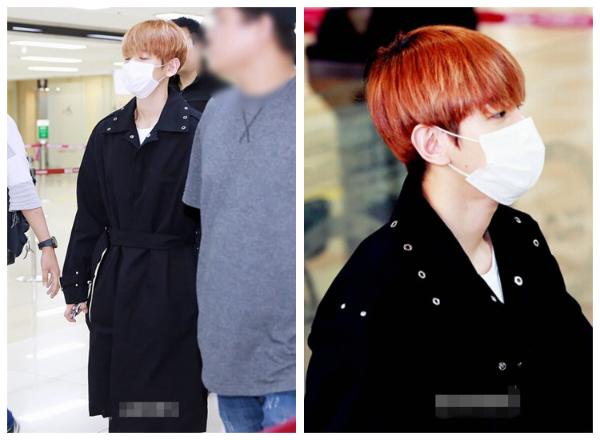 EXO-CBX现身机场飞日本 伯贤黑衣风度翩翩chen低头玩手机【组图】