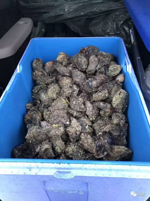 ���л���ȥ�ڵ�����򺣿�����˳�������:�´λ�ȥ