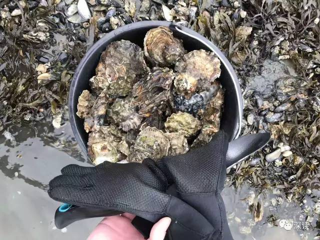 ���л���ȥ�ڵ�����򺣿�����˳�������:�´λ�ȥ