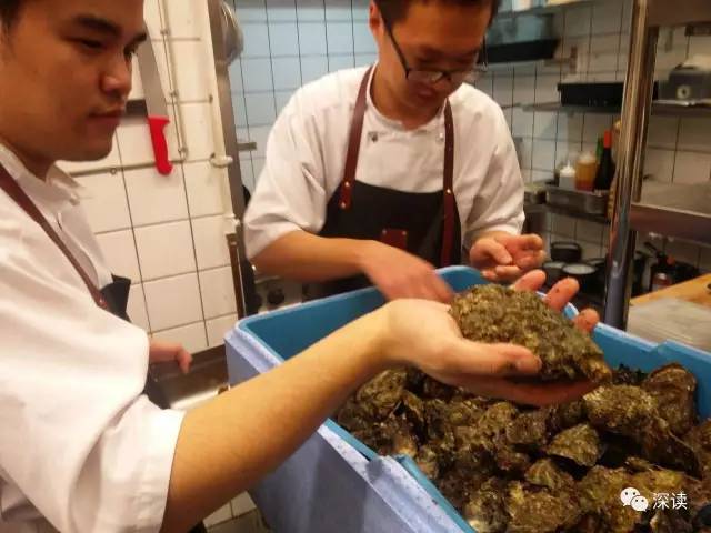 真有华人去挖丹麦生蚝?当事人称挖少了:下次还去