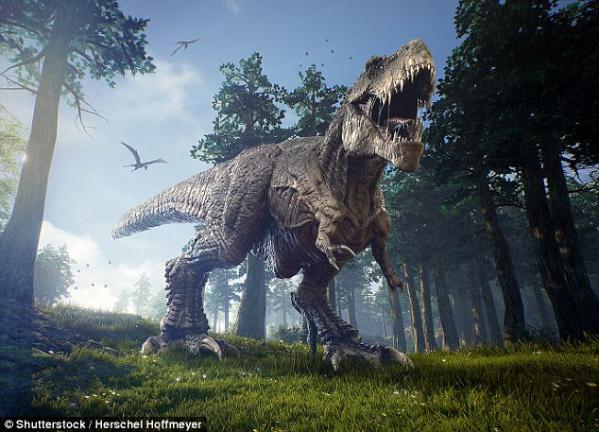 W020170516620118977061.jpg