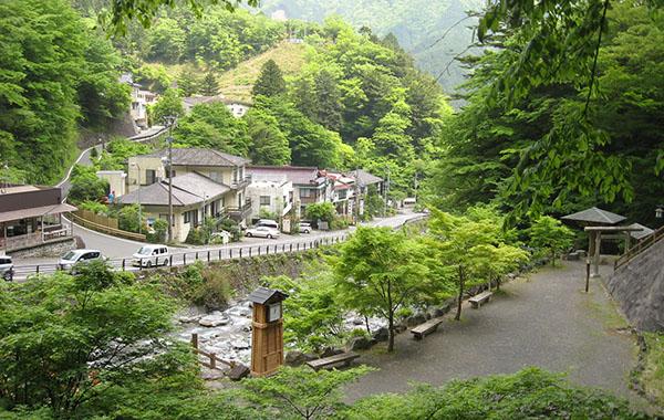 梅岛温泉乡成日本静冈县第二处国民疗养温泉地