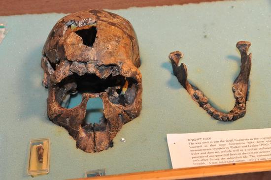 ͼΪ2010��5��20���ڿ����ǹ��Ҳ��������ġ�ͼ�������к��������໯ʯ��ͷ�ǲ��֡����»���������ٻ��㣩