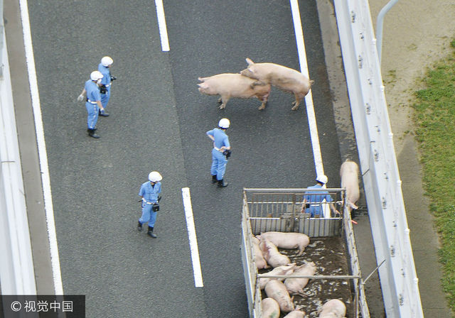 19ͷ����������