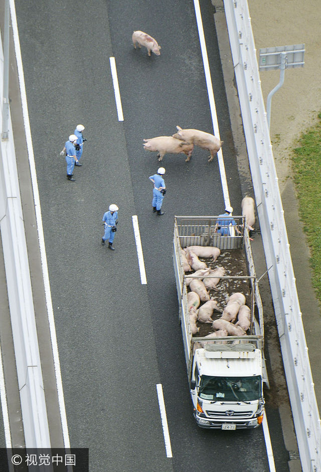 19ͷ����������