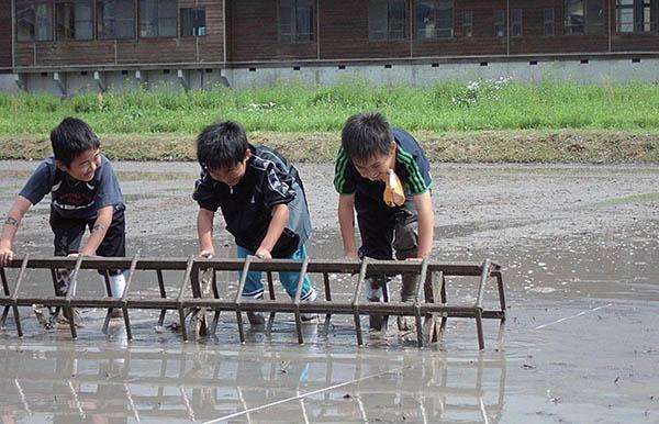修学教育旅游带活了日本的小地方 山乡渔村成