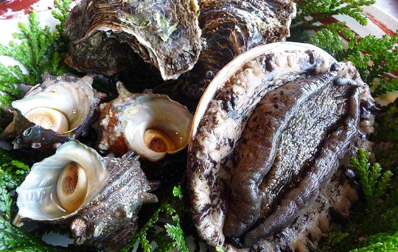 日本海独有的鲍鱼节在石川县落幕 轮岛成鲍鱼