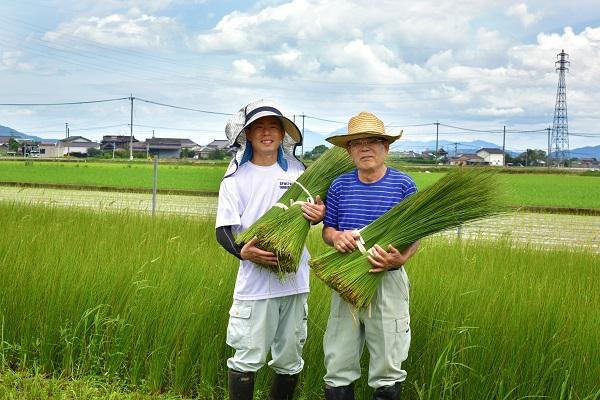 日本推出可以吃的灯芯草筷子 带有榻榻米香气