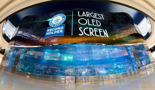 世界最大OLED显示屏现身迪拜 面积勘比四个排