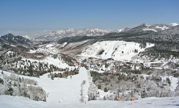 日本长野2015\/16雪季滑雪游客达483万人次 中