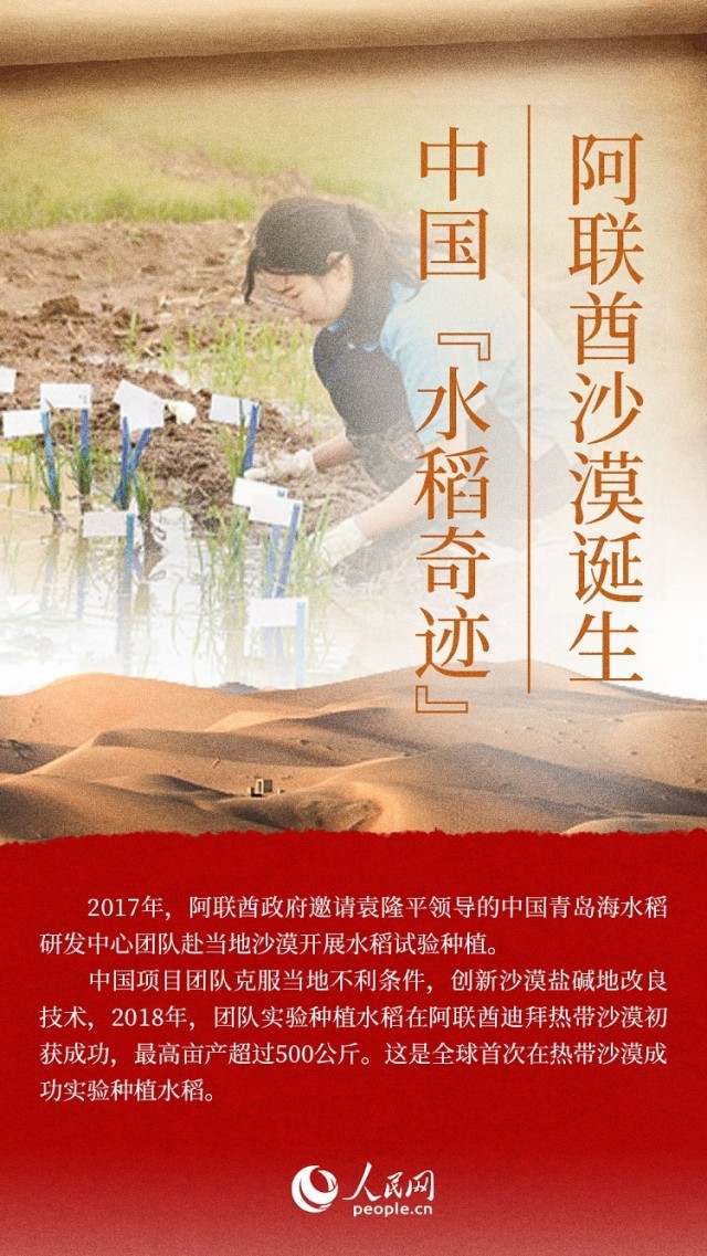 海报:丝路上的中阿文明交流故事【8】