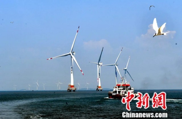 英国作家马丁内斯：中国生态文明建设何以成果丰硕？(图4)