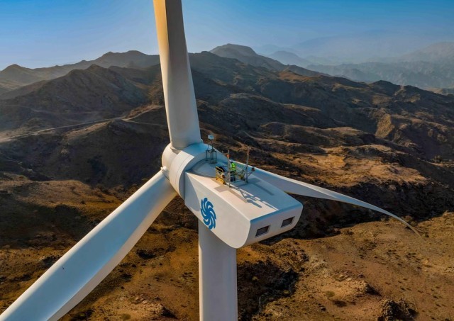 中国阿联酋“风光”合作共绘绿色发展新图景(图2)