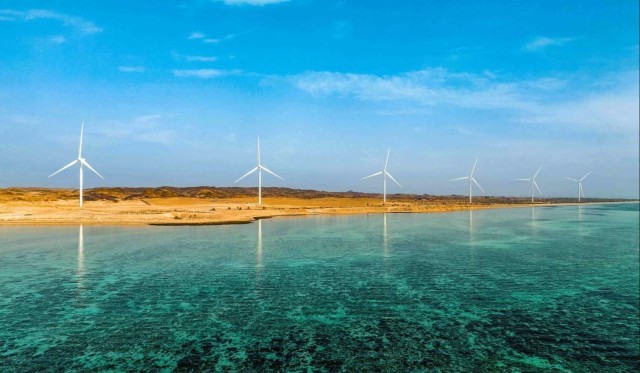 中国阿联酋“风光”合作共绘绿色发展新图景(图4)