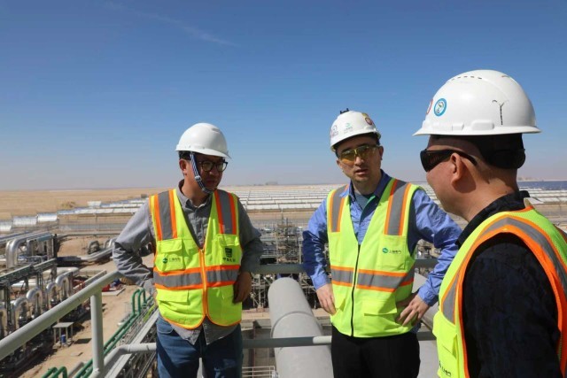 中国阿联酋“风光”合作共绘绿色发展新图景(图5)