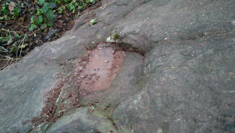 恐龙足迹 恐龙足迹