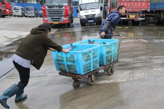 上海市最大淡水鱼市场率先构建中国智慧水产