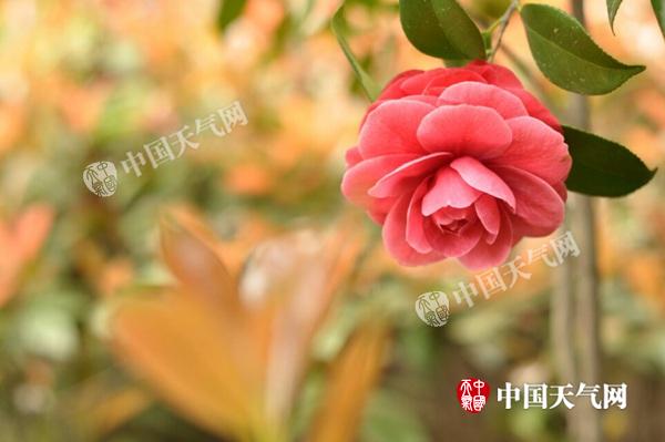 ������жϱ������� �����ƻ��ؼ�����