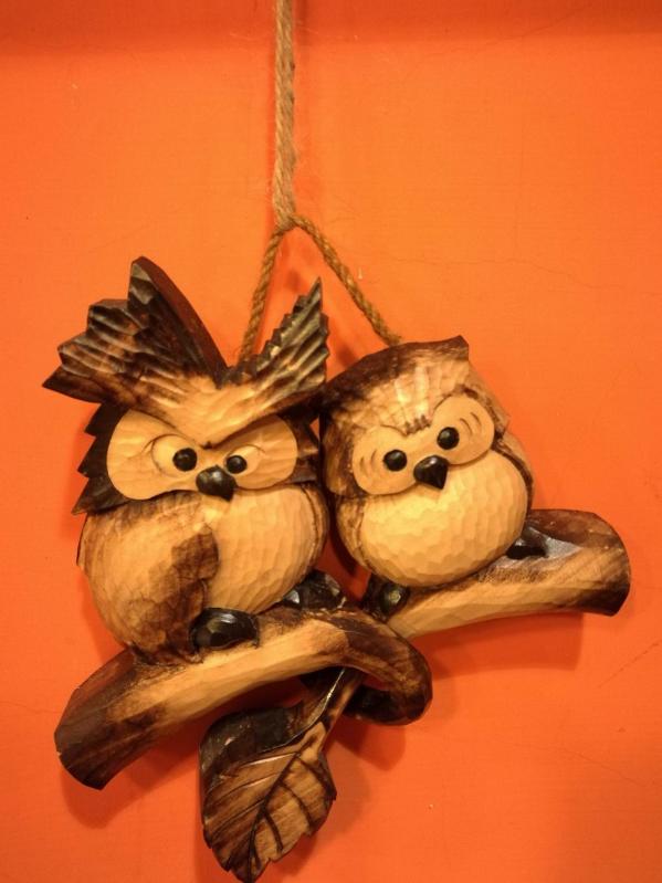 组图:台湾的猫头鹰代表什么?