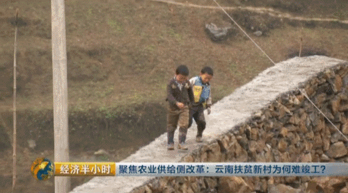 �������ŷ�ƶ��Ǩ��ͣ�� ƶ�����������Ѷ���