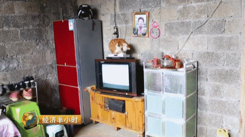 �������ŷ�ƶ��Ǩ��ͣ�� ƶ�����������Ѷ���