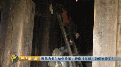 �������ŷ�ƶ��Ǩ��ͣ�� ƶ�����������Ѷ���