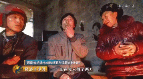 �������ŷ�ƶ��Ǩ��ͣ�� ƶ�����������Ѷ���