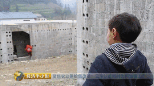 �������ŷ�ƶ��Ǩ��ͣ�� ƶ�����������Ѷ���