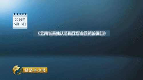 �������ŷ�ƶ��Ǩ��ͣ�� ƶ�����������Ѷ���