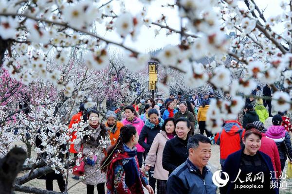 ��ɽ̽÷԰������֯��