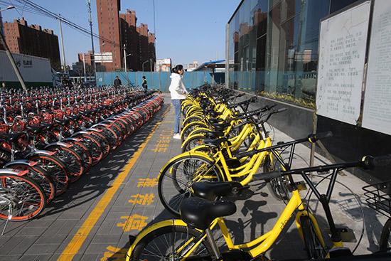 丰台:给共享单车画个圈 有序停放不 惹事