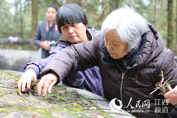 清明节前夕,95岁高龄的龚全珍老阿姨带着女儿等人祭扫开国将军甘祖昌