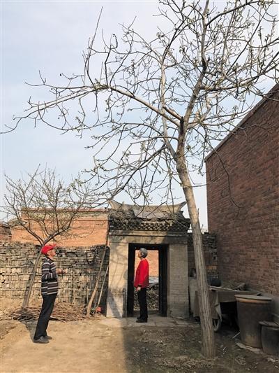 �۰�����:��ȥ���о��Լ����۲�ͬ�� һҹ������