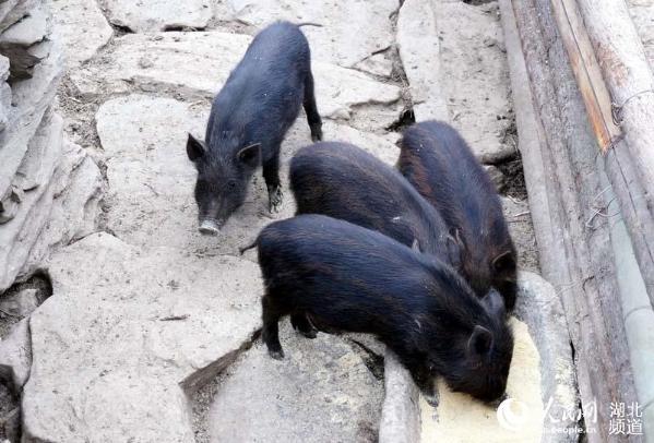 从夏商到宋金！豫博新年文脉巡礼总有一个展览投你所好