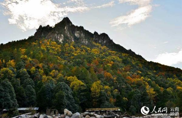 云南剑川推介老君山旅游资源 打造山地生态旅游名片