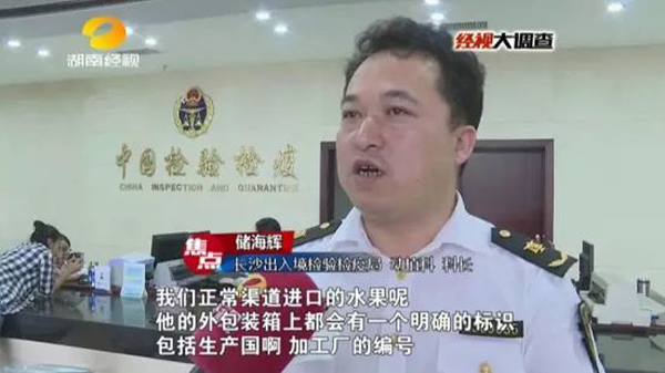 奇异果体育记者暗访“洋水果”造假：国产水果随意贴标贴上后身价倍增(图6)