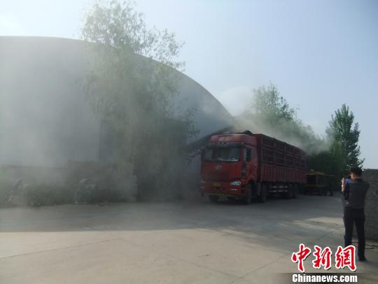 ���С�����