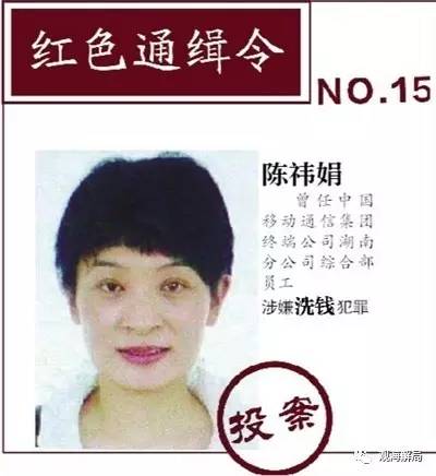 红通人员到案 这四类朝阳群众功不可没