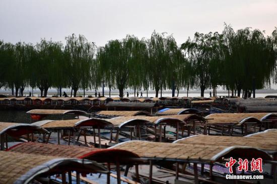 4月16日,雄安新区白洋淀,密密麻麻的手摇游船。 <a target='_blank' href='http://www.chinanews.com/' _fcksavedurl='http://www.chinanews.com/'></table>中新社</a>记者 翟羽佳 摄