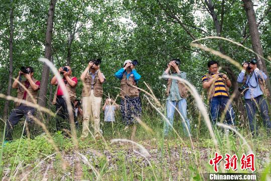 ��Ӱ���Ǽ���ɷá����� ��