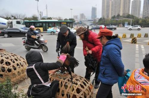 ����ͼ:��ͷ̯�����ζ� ��