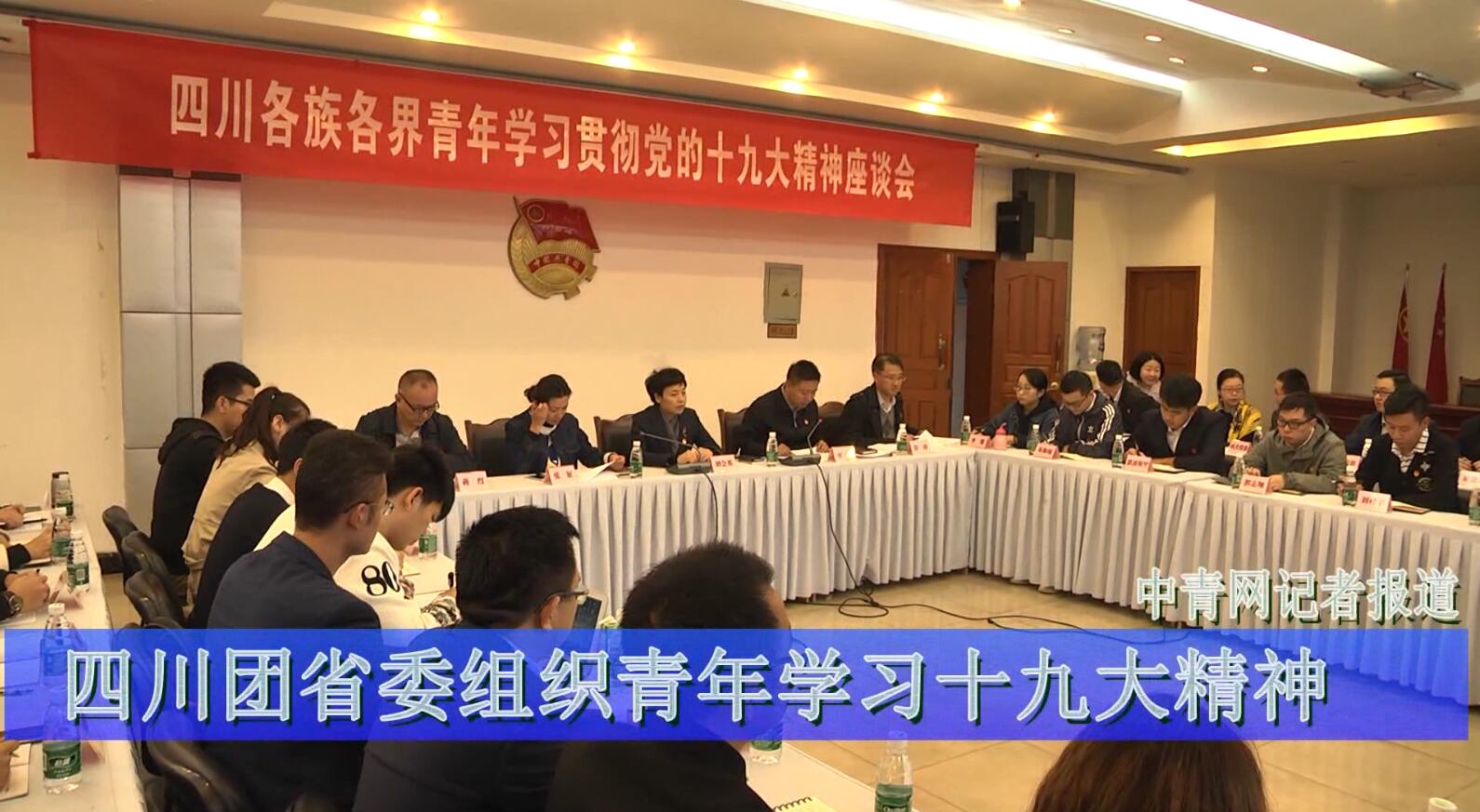 青年学习贯彻党的十九大精神座谈会在成都举行,共青团四川省委书记刘